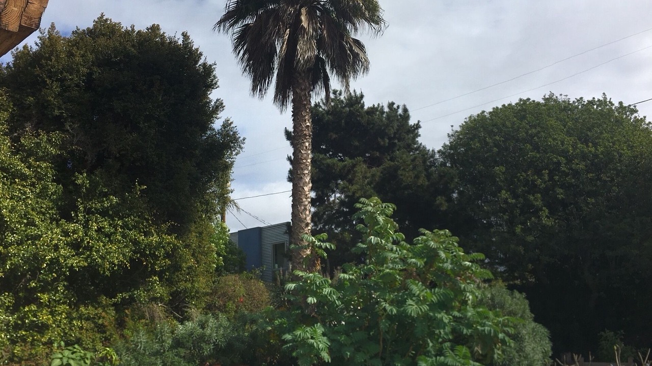 Photo of Outdoor in Venice