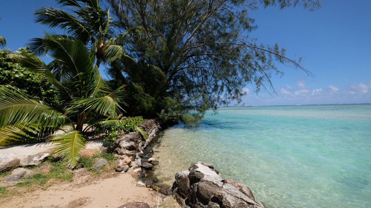 Photo of Others in Tiahura