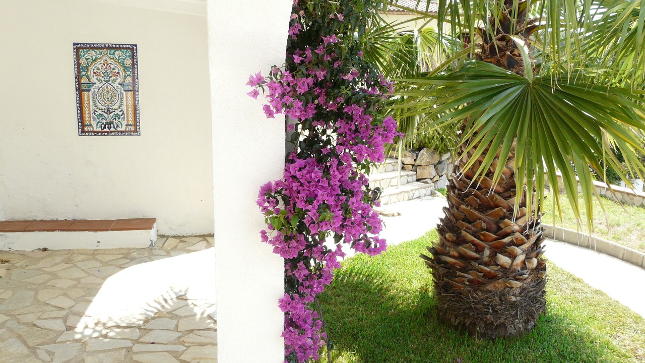 Photo of Outdoor in Calonge