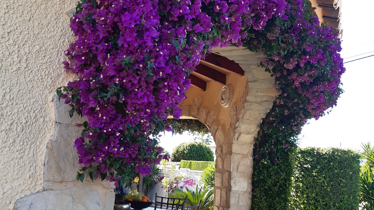 Photo of Outdoor in Els Poblets