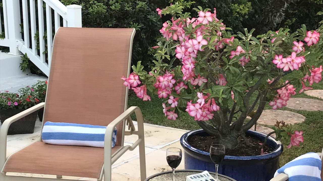 Photo of Patio Balcony in Nassau