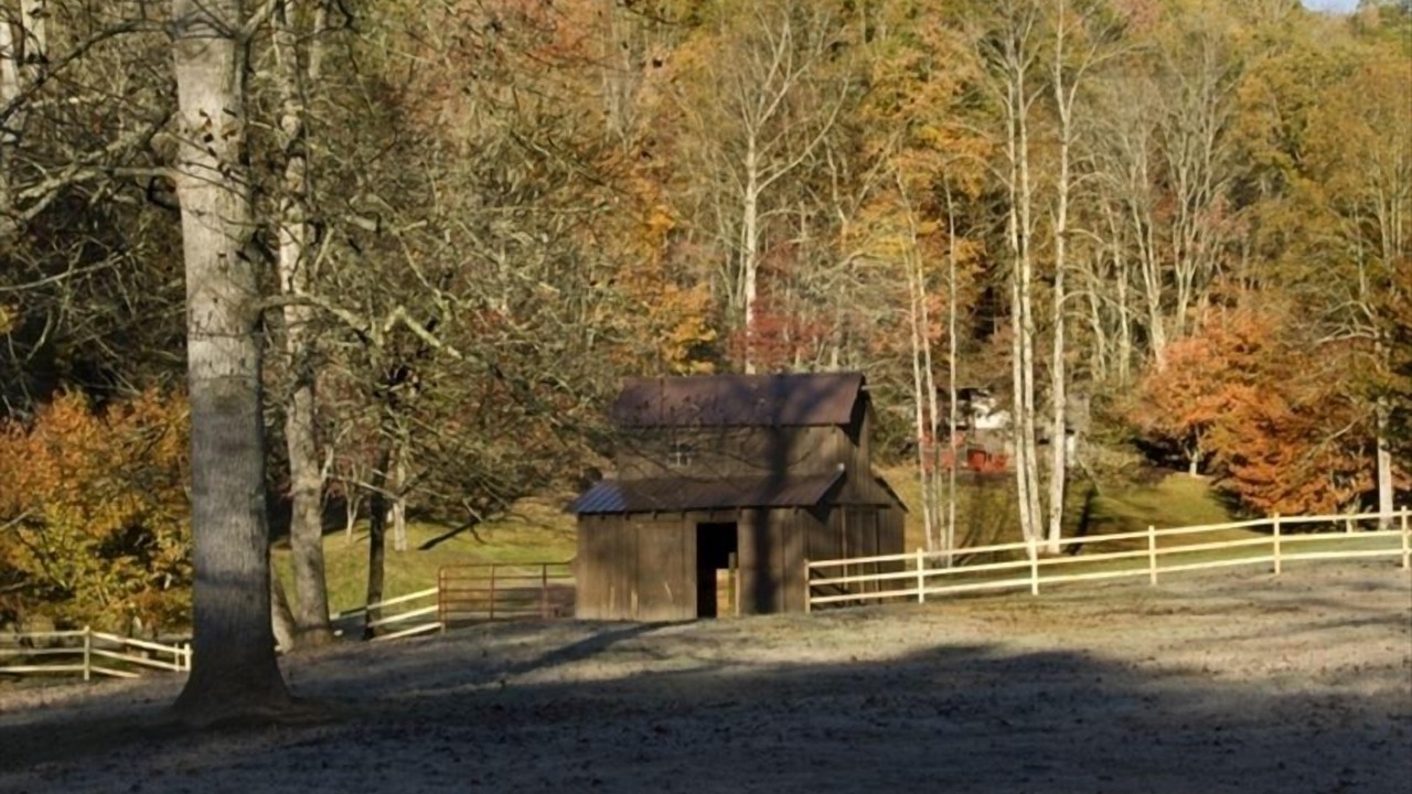 Photo of Others in Andrews
