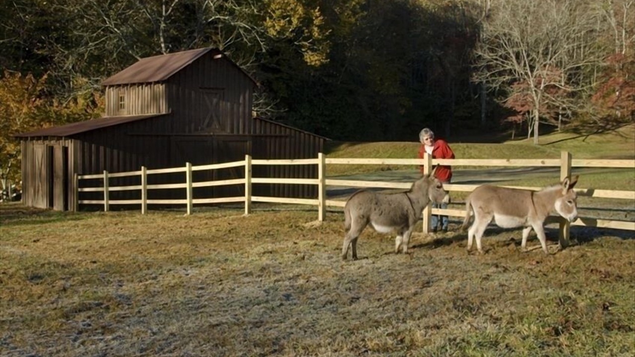 Photo of Others in Andrews