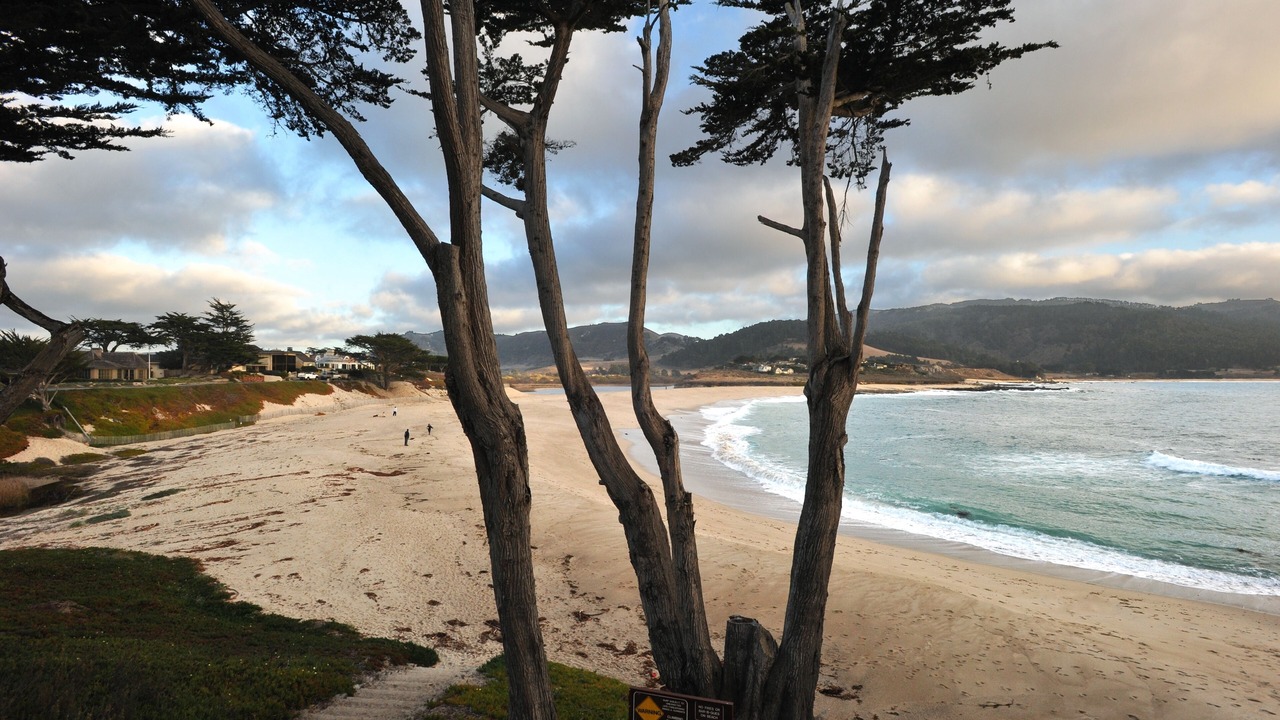 Photo of Others in Carmel Point