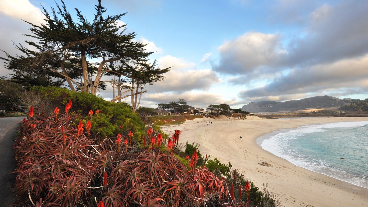 Photo of Others in Carmel Point
