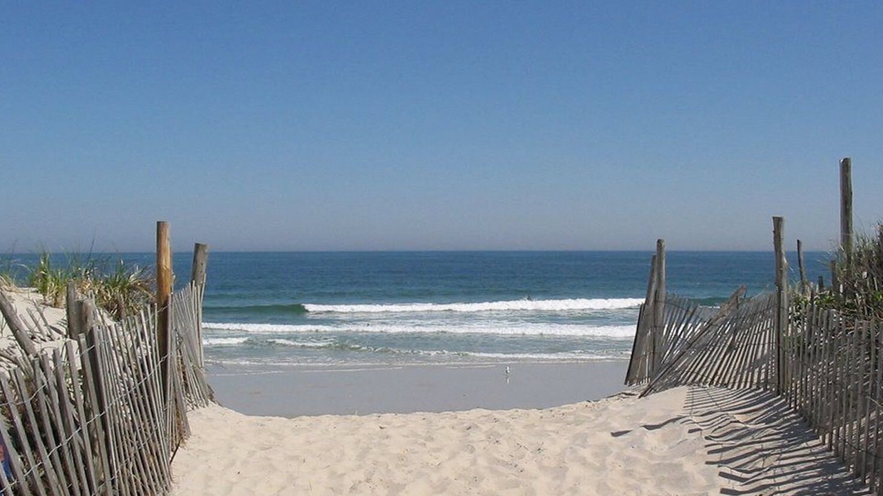 Photo of Others in Harvey Cedars