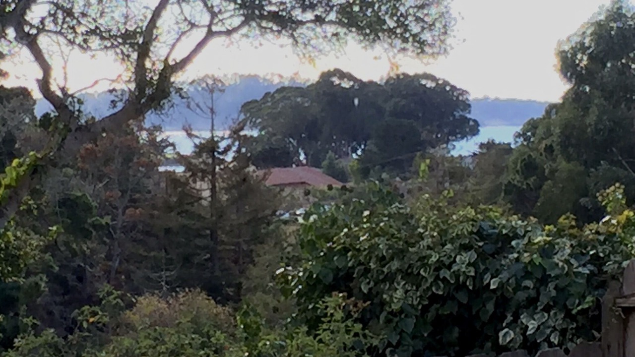 Photo of Others in Hatton Fields