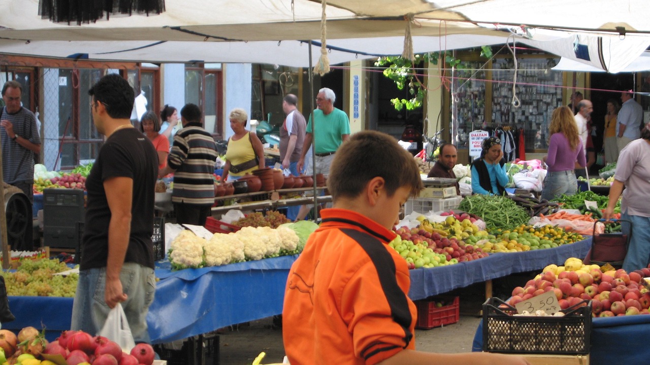 Photo of Others in Dalyan City Center