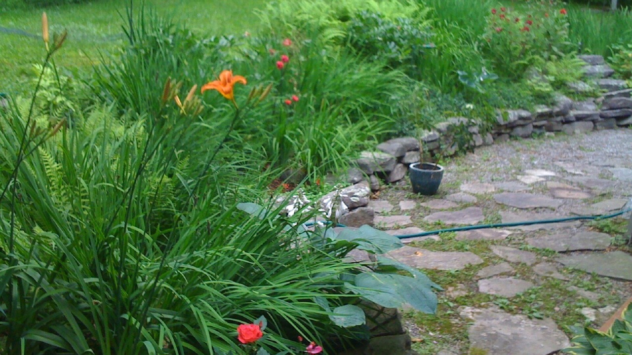 Photo of Outdoor in Willow