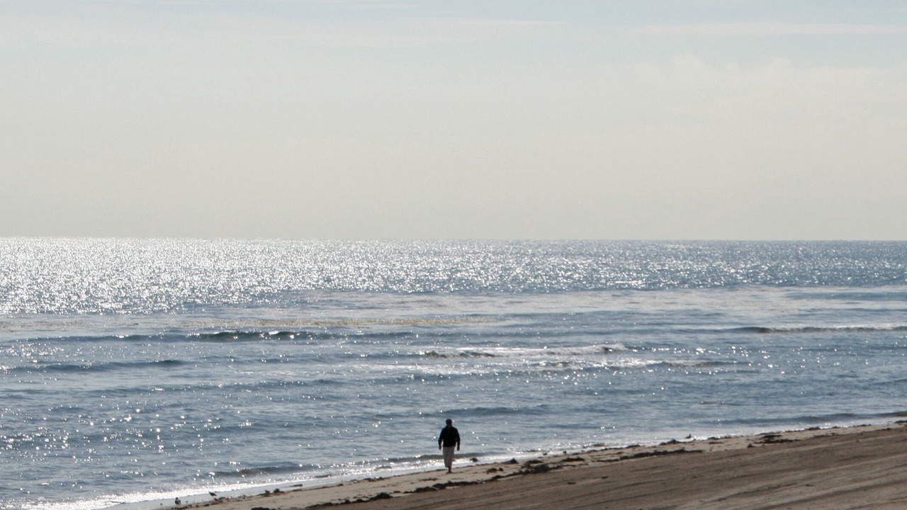 Photo of Others in Eastern Malibu
