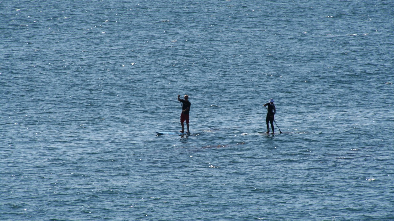 Photo of Others in Eastern Malibu