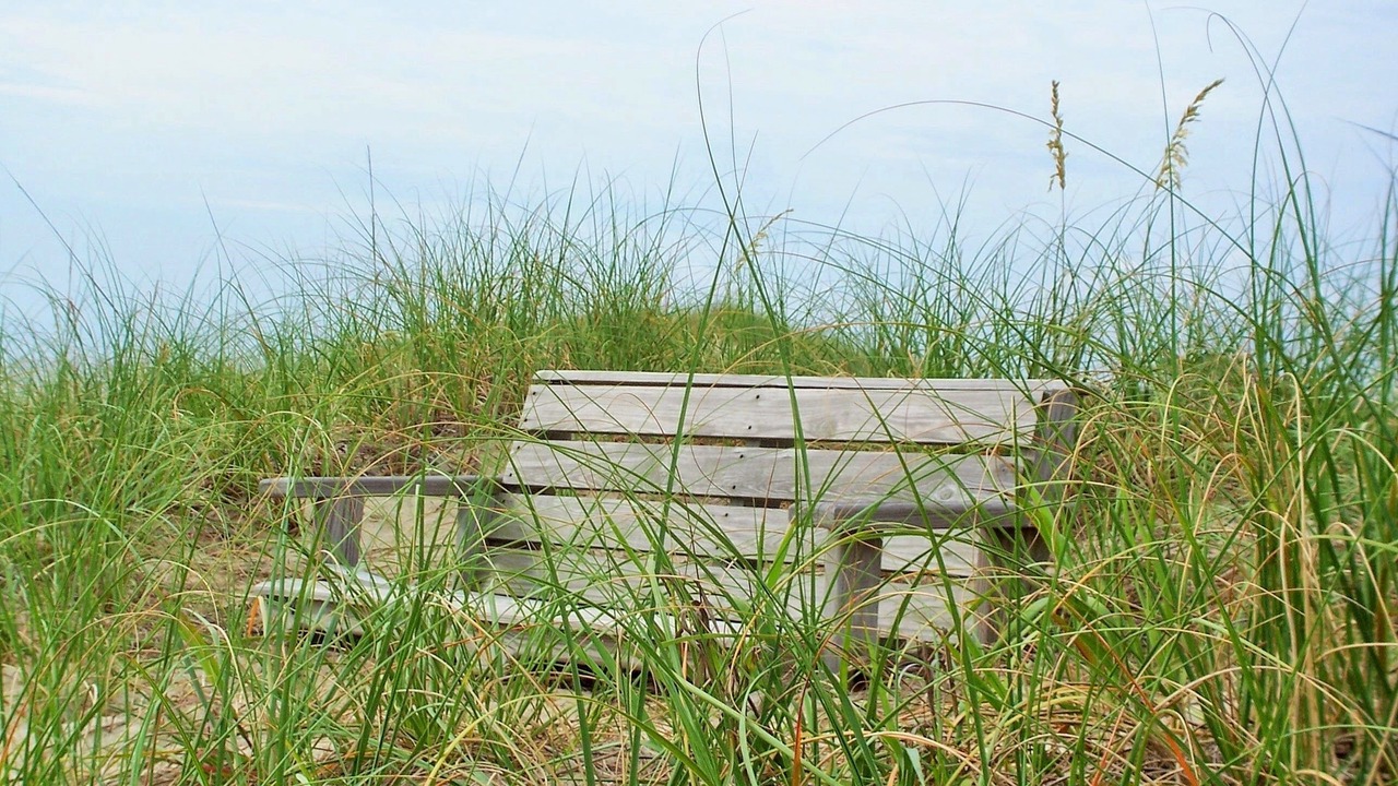 Photo of Others in Carova Beach