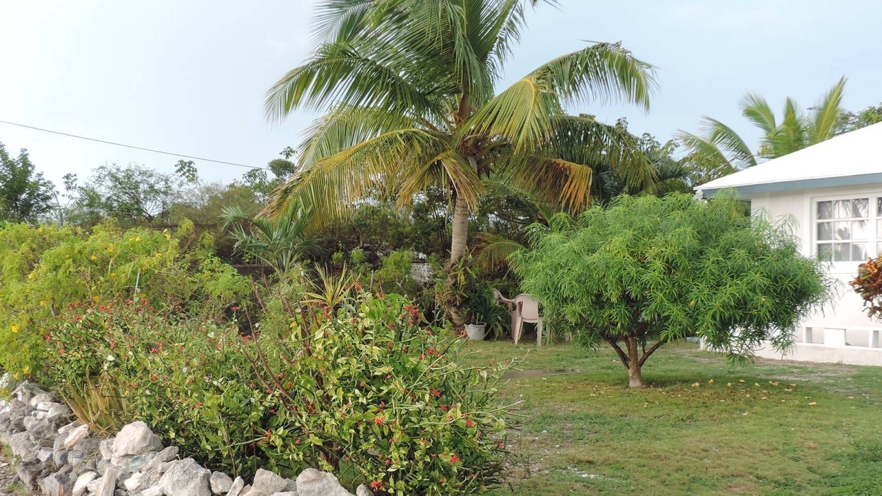 Photo of Outdoor in George Town