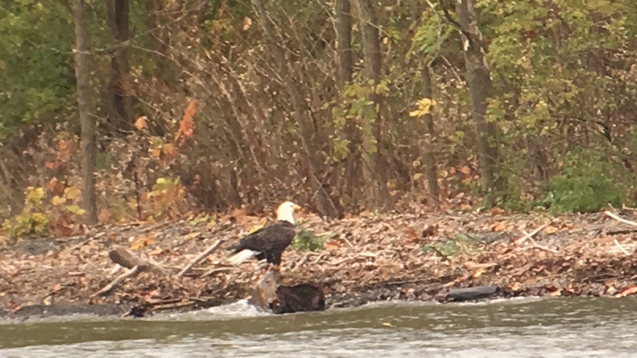 Photo of Others in Trumansburg