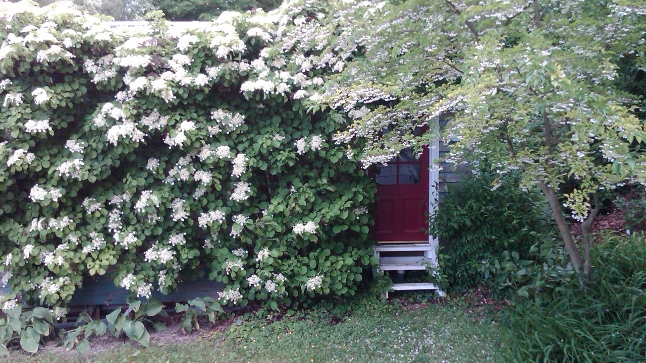 Photo of Bathroom in Trumansburg