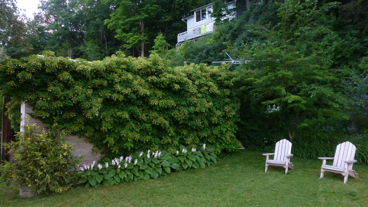Photo of Others in Trumansburg