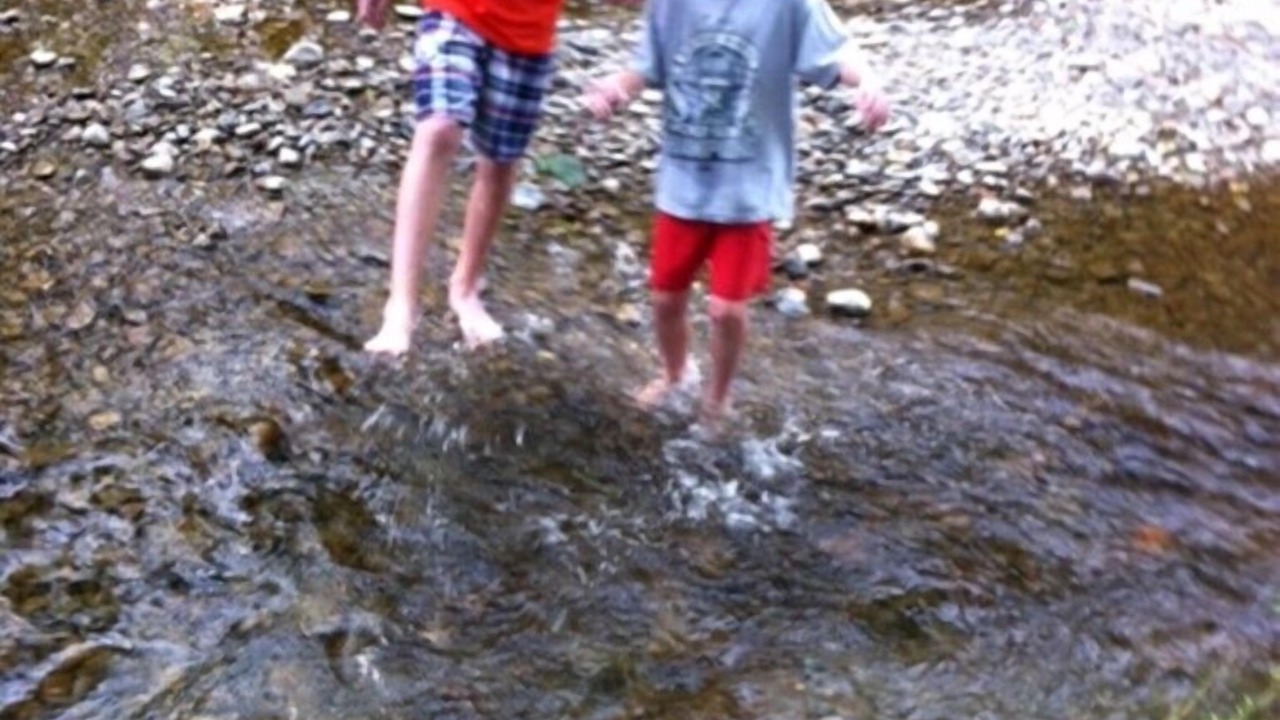 Photo of Others in Montour Falls