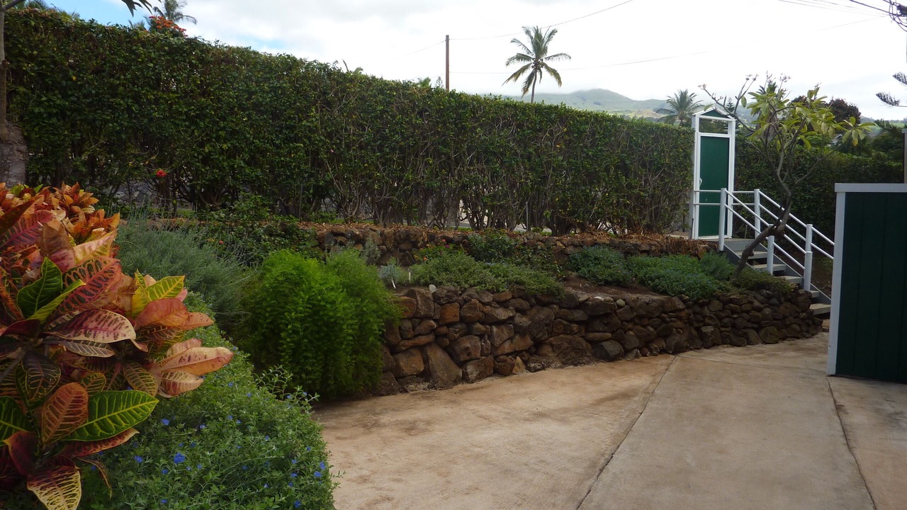 Photo of Others in Wailea