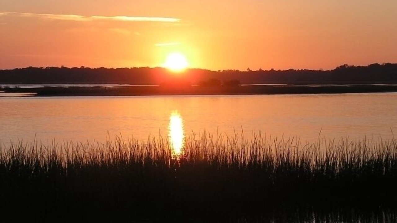 Photo of Others in St. Augustine Beach
