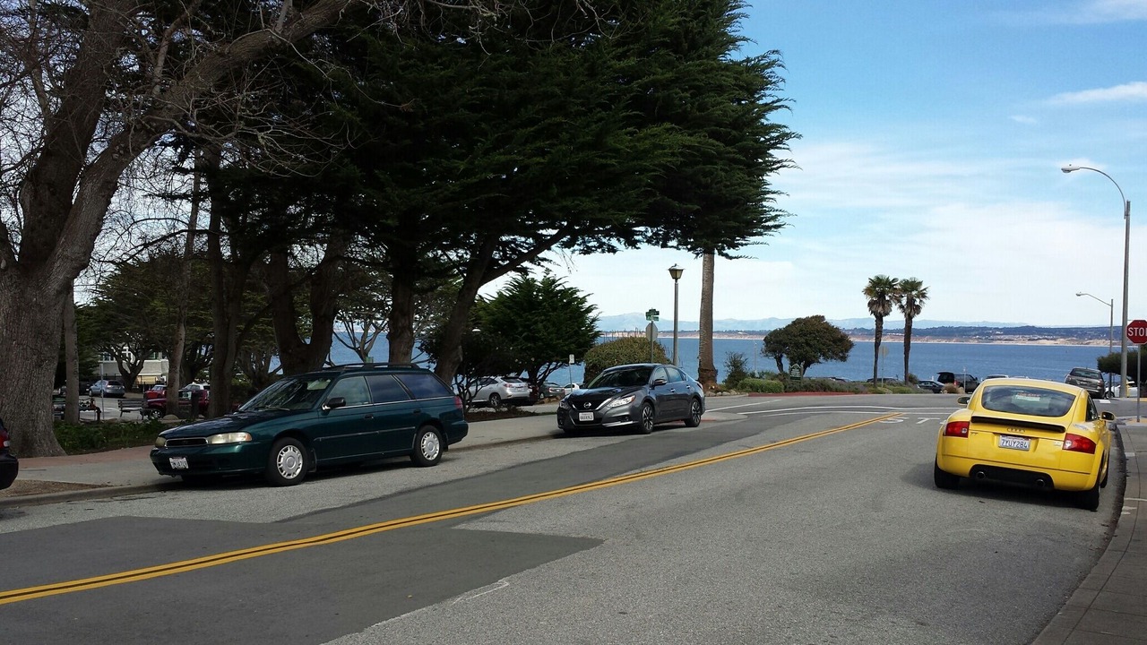 Photo of Others in Pacific Grove
