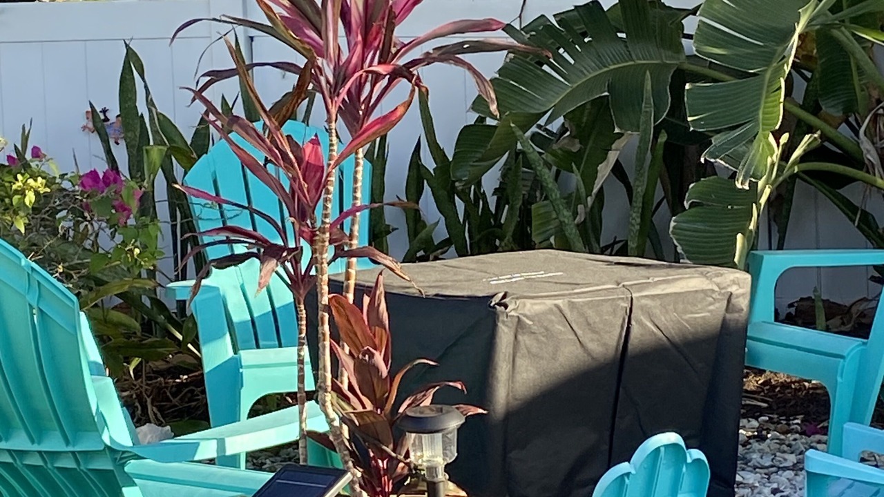 Photo of Outdoor in East Naples