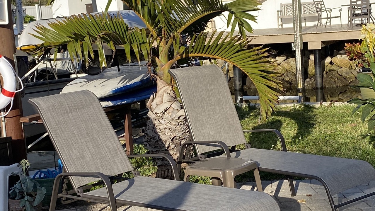 Photo of Outdoor in East Naples
