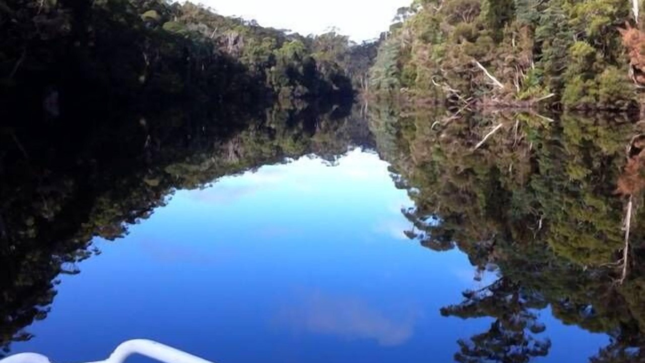 Photo of Others in Arthur River