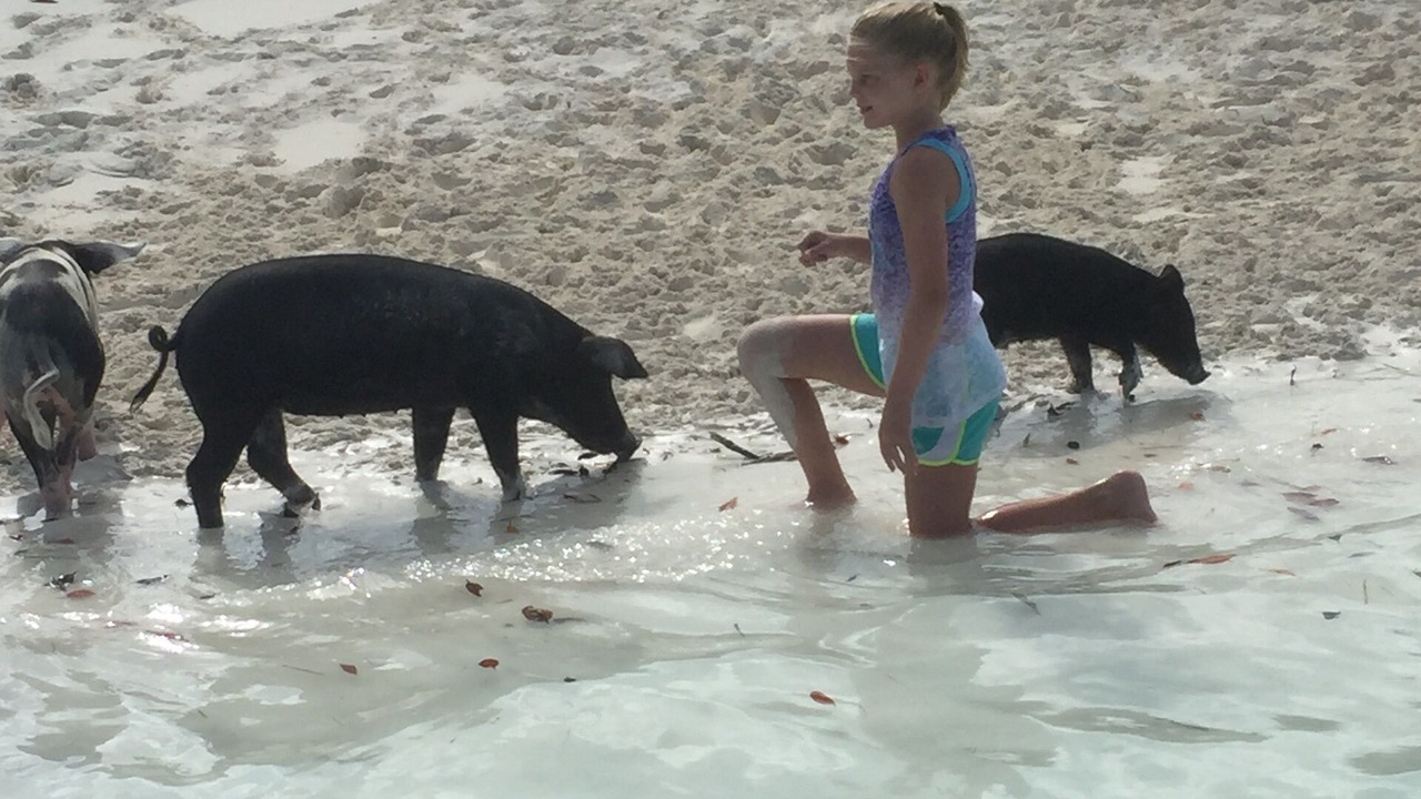 Photo of Others in Deadmans Cay