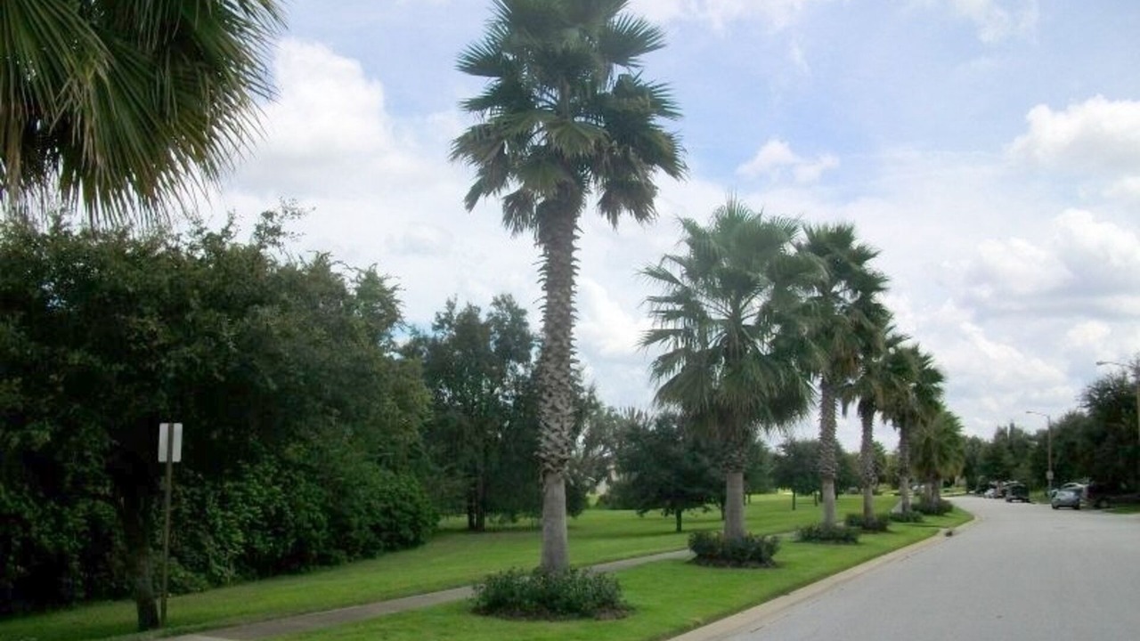 Photo of Outdoor in Silver Creek