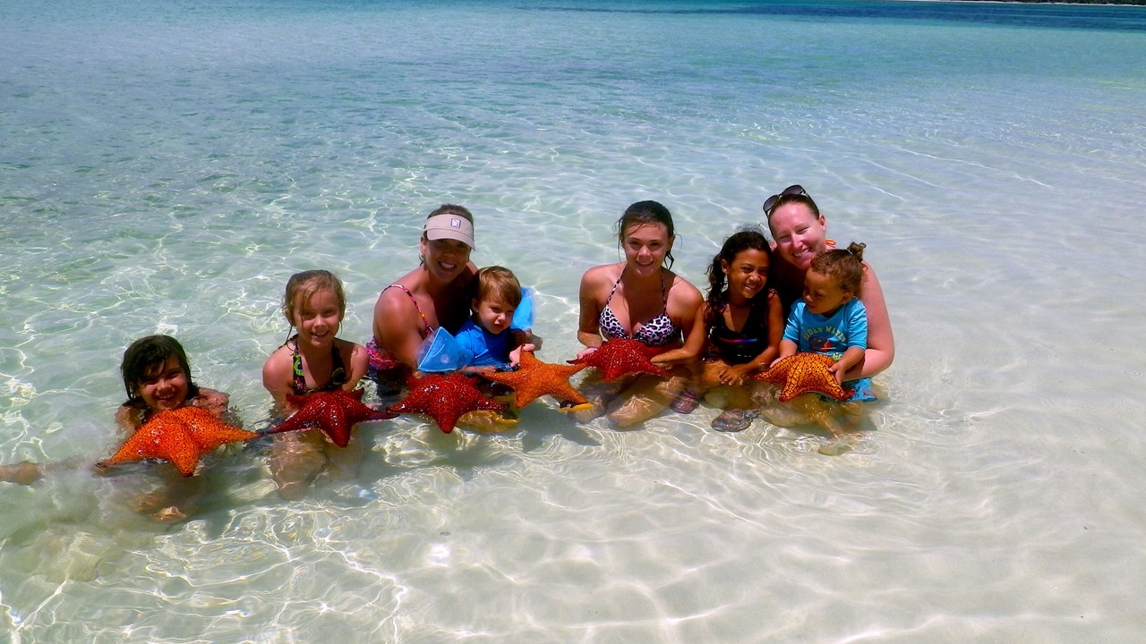 Photo of Others in South Palmetto Point