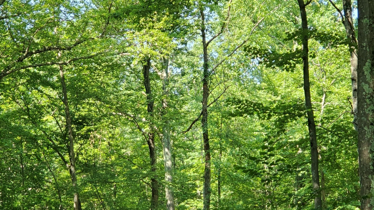 Photo of Others in Pine Bush
