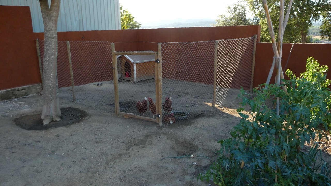 Photo of Outdoor in Tordera