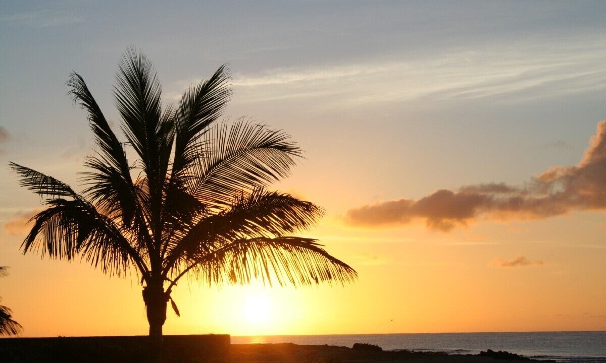 Photo of Others in Costa Teguise