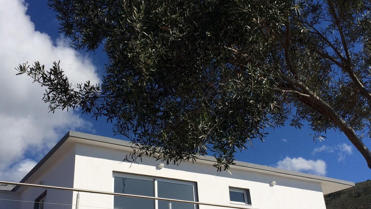 Photo of Outdoor in Tijarafe