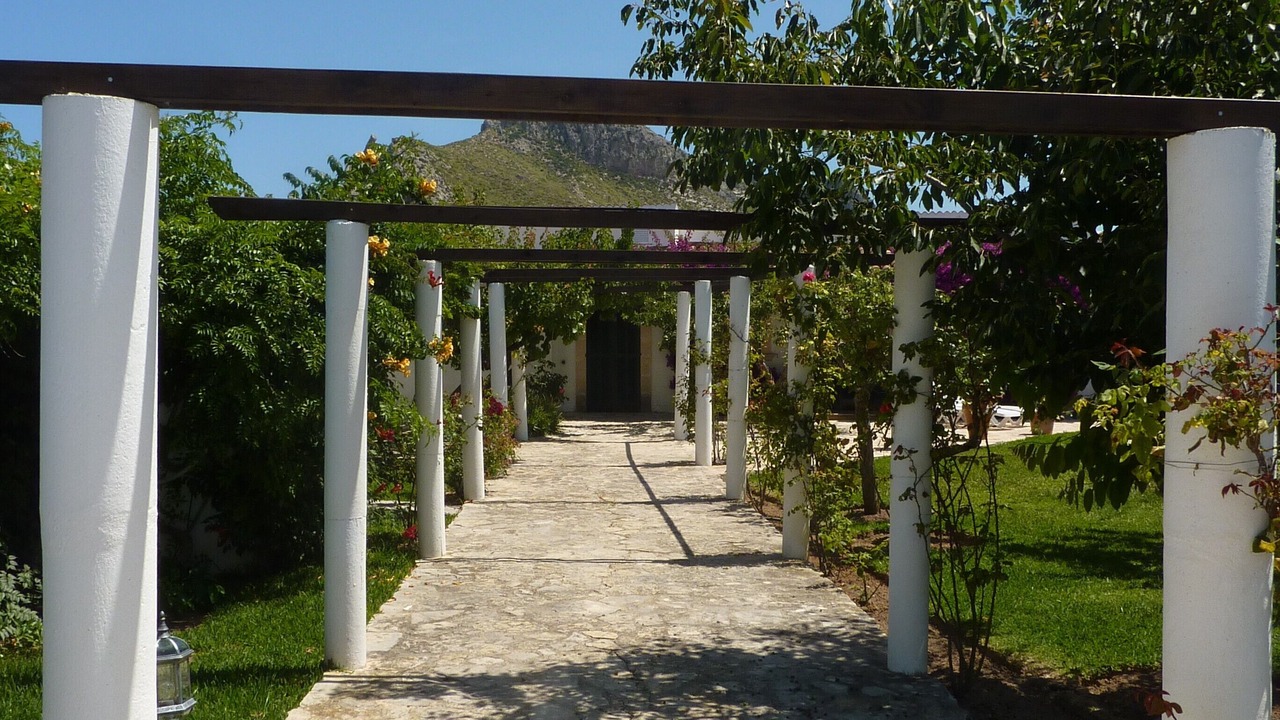 Photo of Others in Puerto de Pollensa