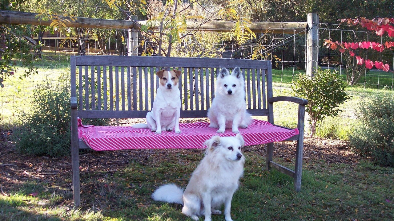 Photo of Outdoor in Healesville
