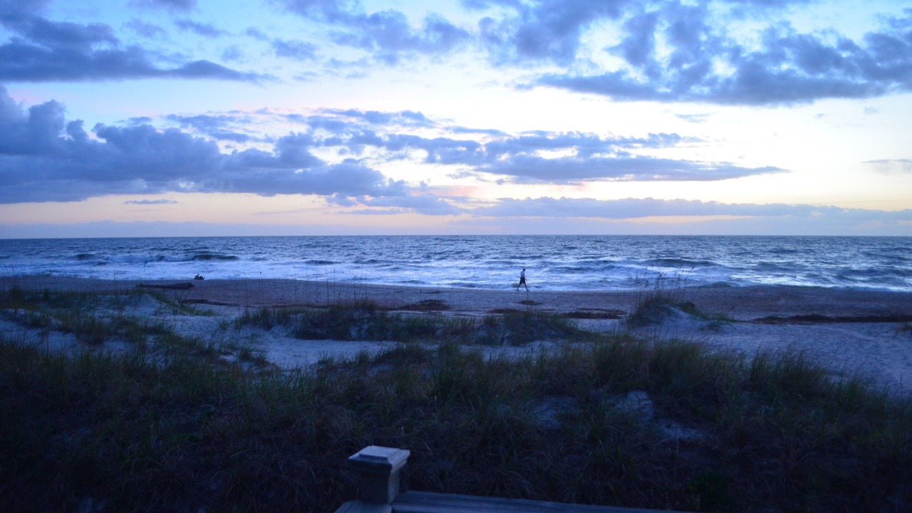 Photo of Others in Ocean Cay
