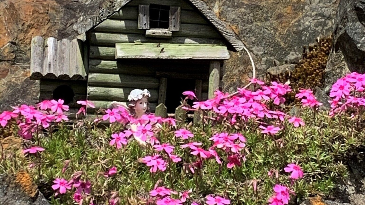 Photo of Outdoor in Todd