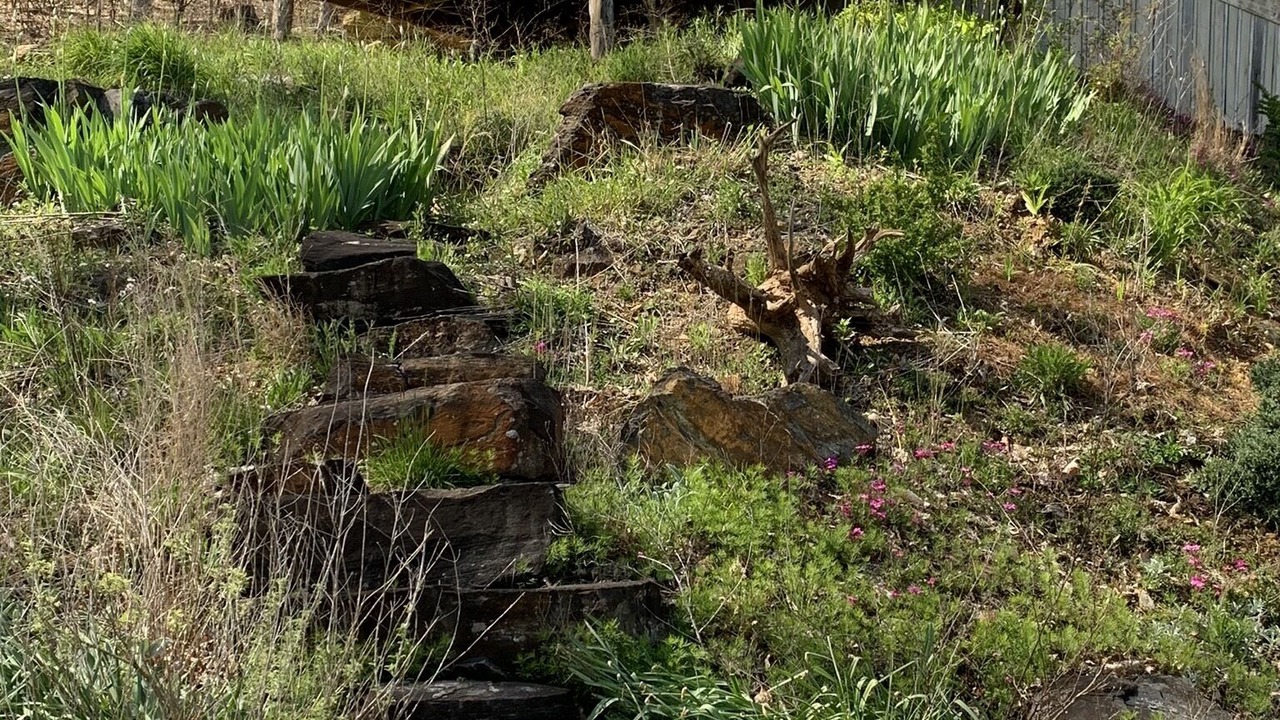 Photo of Outdoor in Todd