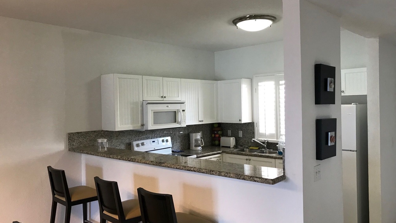Photo of Kitchen in Alice Town