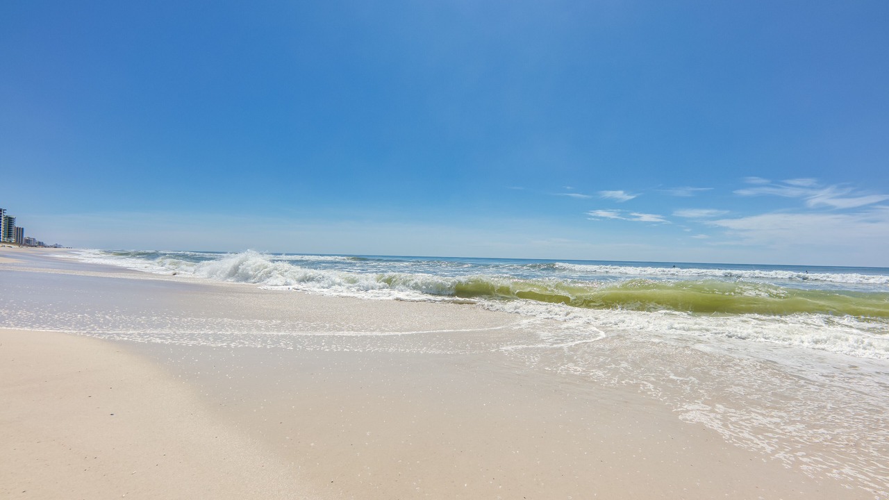 Photo of Others in Orange Beach East