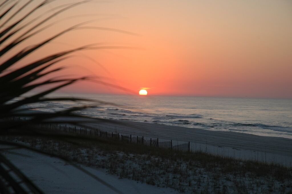 Photo of Patio Balcony in Orange Beach East
