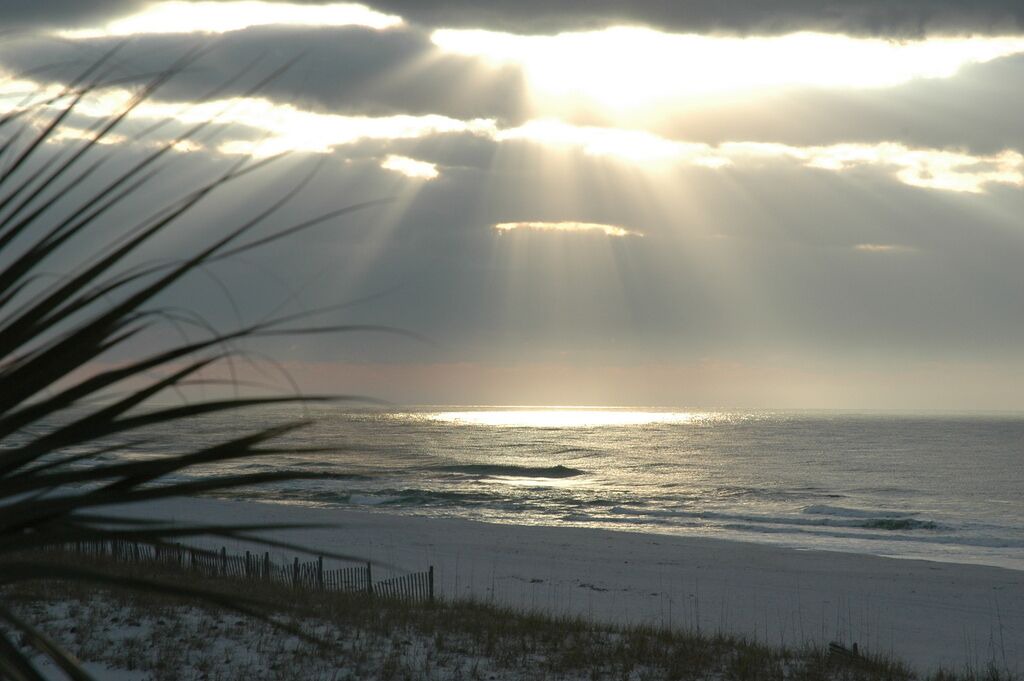 Photo of Patio Balcony in Orange Beach East