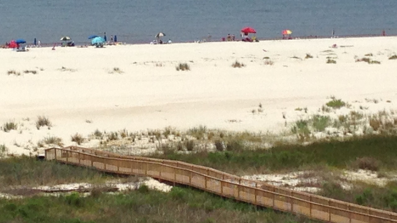 Photo of Others in Dauphin Island