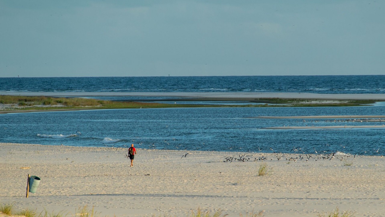 Photo of Others in Dauphin Island