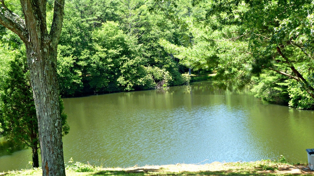 Photo of Others in Meadows Of Dan