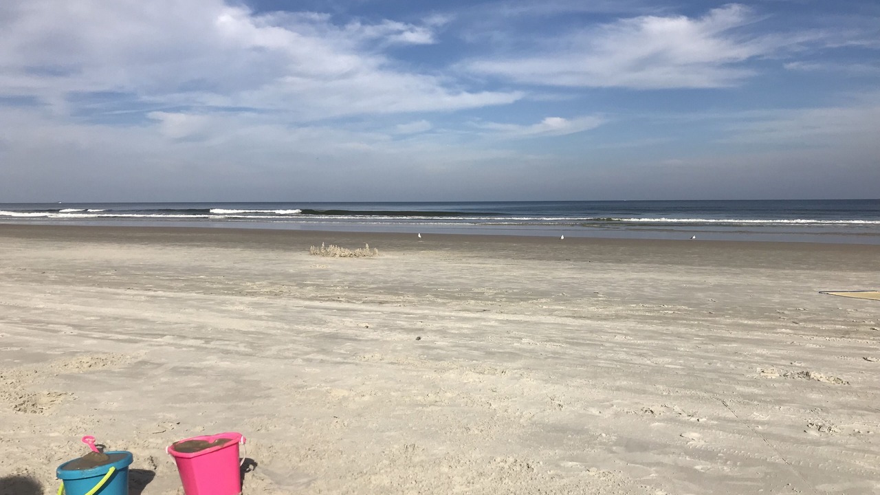 Photo of Others in Daytona Beach Shores