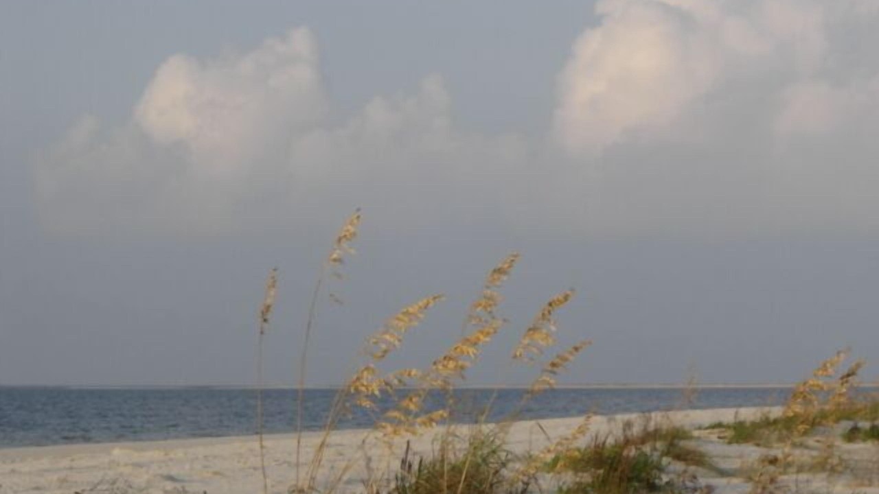 Photo of Others in Dauphin Island