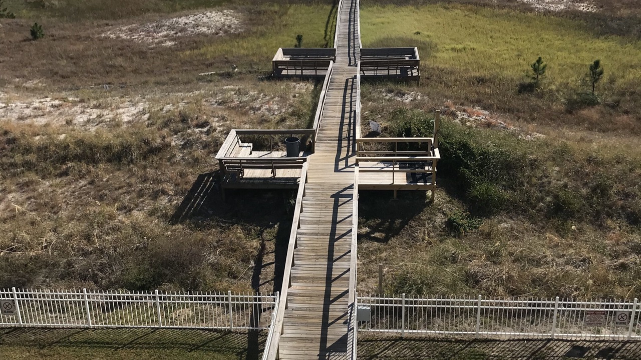 Photo of Others in Dauphin Island