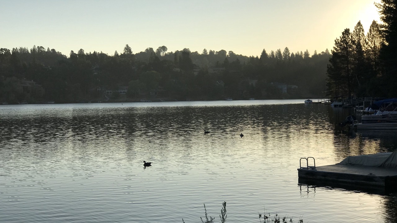 Photo of Outdoor in Groveland